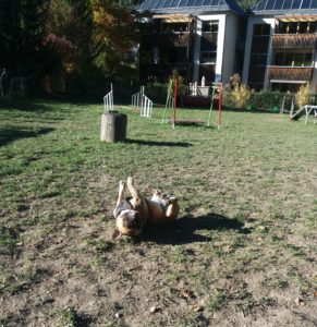 20181012_155948_2-291x300 Erfahrungsbericht zum Hotel Riederhof