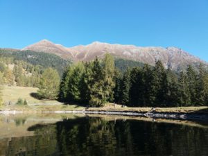 20181013_135922_resized-300x225 Erfahrungsbericht zum Hotel Riederhof