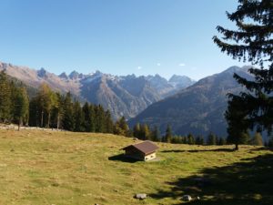 20181013_144732_resized-300x225 Erfahrungsbericht zum Hotel Riederhof