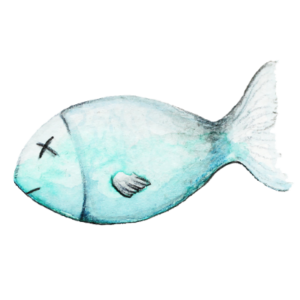 Fisch_transparenter-Hintergrund_Aram-und-Abra-300x300 Fleisch