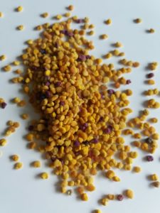 20181130_143553_resized-225x300 Blütenpollen