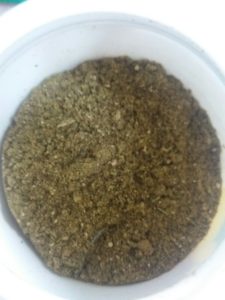 20181201_153055_resized-225x300 Wurm-o-Vet forte