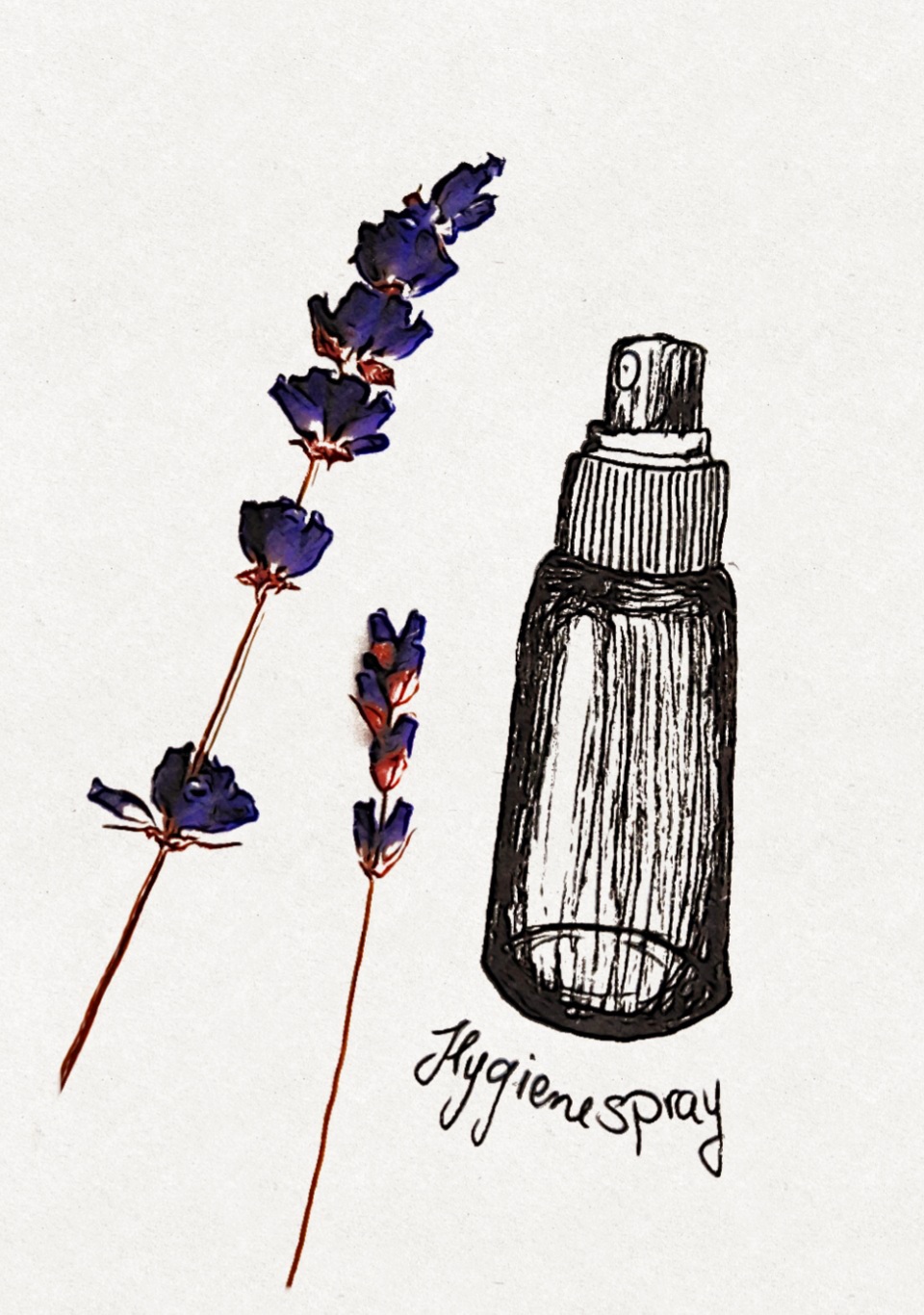 Hygienespray Lavendel